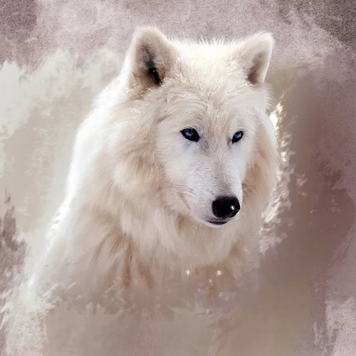 Mystical Arctic Wolf T-Shirt