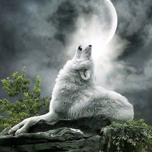 Moon Wolf Hoodie