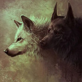 Wolf Lovers Painting Art