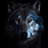 Cool Wolf Painting Art