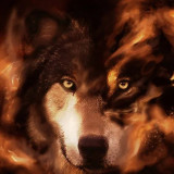 Fire Wolf Painting Art