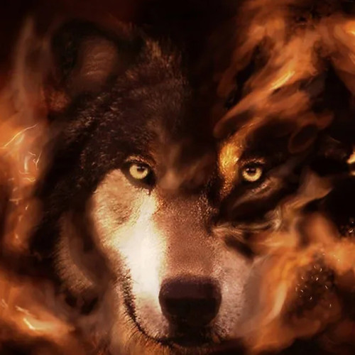 Fire Wolf Wall Art