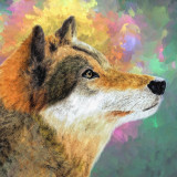 Wolf Drawing Painting Art