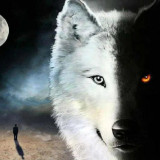 Yin Yang Wolf Painting Art