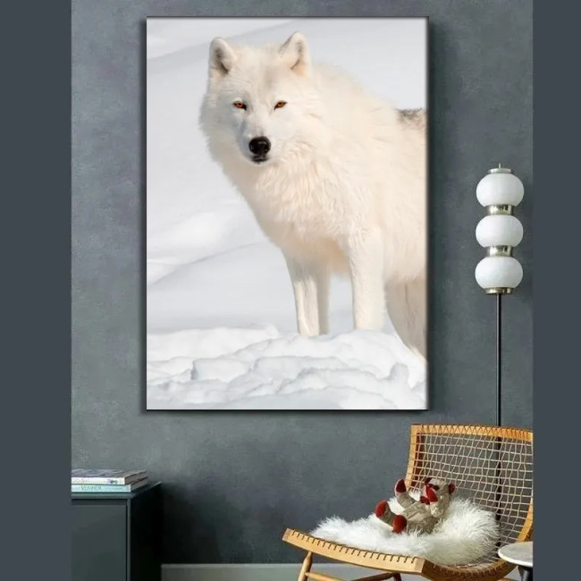 Arctic Wolf Painting Art