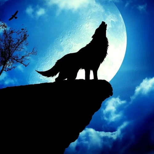 Mountain Wolf Howling Wall Art