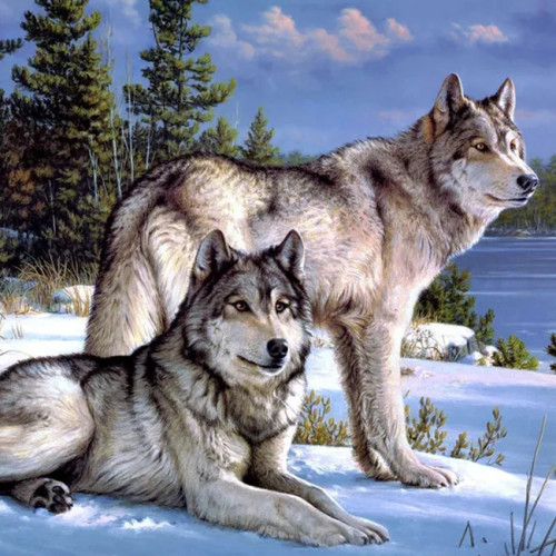 Wolf Couples Print Tapestry