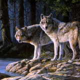 Wolf Couples Painting Art