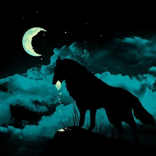 Night Wolf Blanket