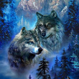 Mountain Wolves Painting Art