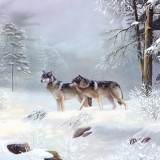 Wolf Packs Painting Art