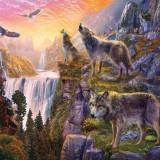 Packs Wolf Painting Art