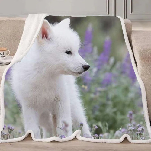 Baby Wolf Blanket