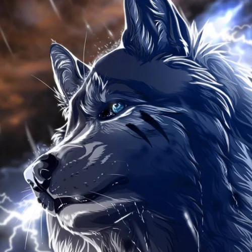 Anime Wolf Painting Art