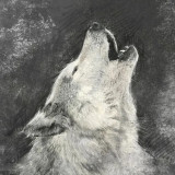 Wolf Drawing Hoodie