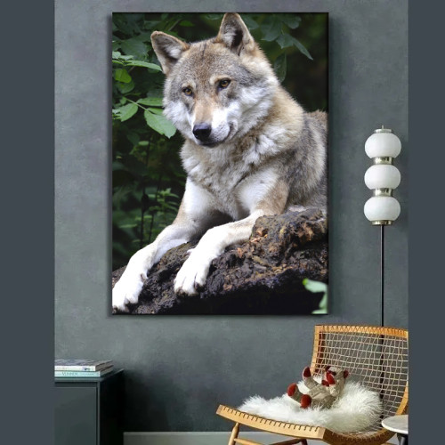 Resting Wolf Painting Art