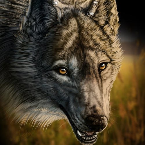 Wolf Face Painting Art