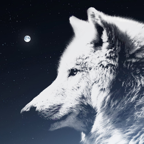 Wolf Moon Painting Art