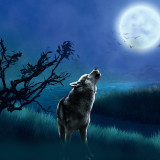 Wolf Howling At Moon Painting Art