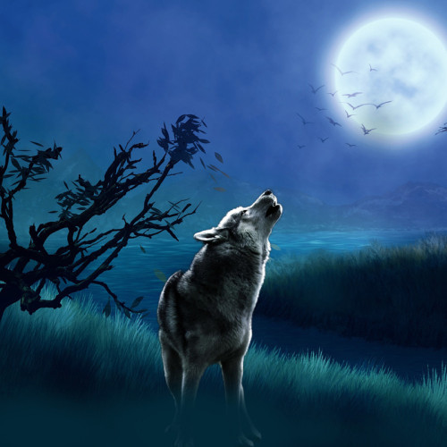 Wolf Howling At Moon Hoodie