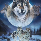 Wolf Packs Painting Art