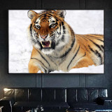 Snow Tiger Painting Art