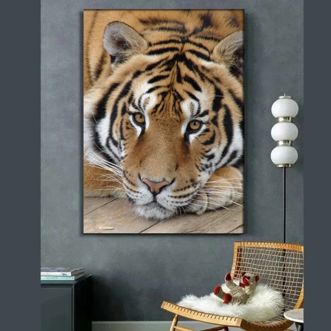 Resting Tiger Painting Art