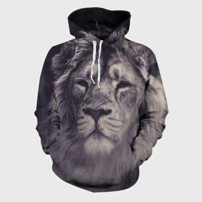 Casual Lion Hoodie