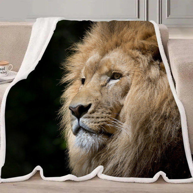 Lion Blanket