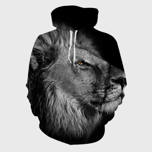 Lion Art Hoodie