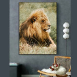 African Lion Painting Art