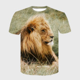 African Lion T-Shirt