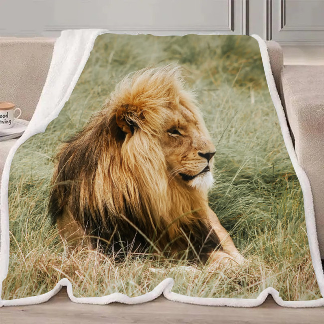 African Lion Blanket