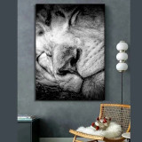 Sleeping Lion Painting Art