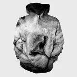 Sleeping Lion Hoodie