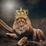 King Lion Painting Art