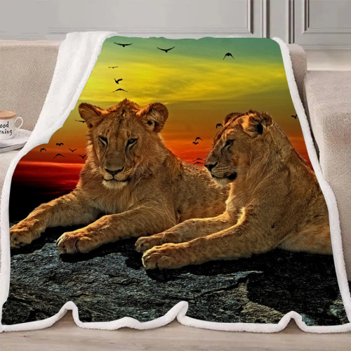 Lion Brothers Blanket