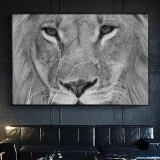 Lion Face Painting Art