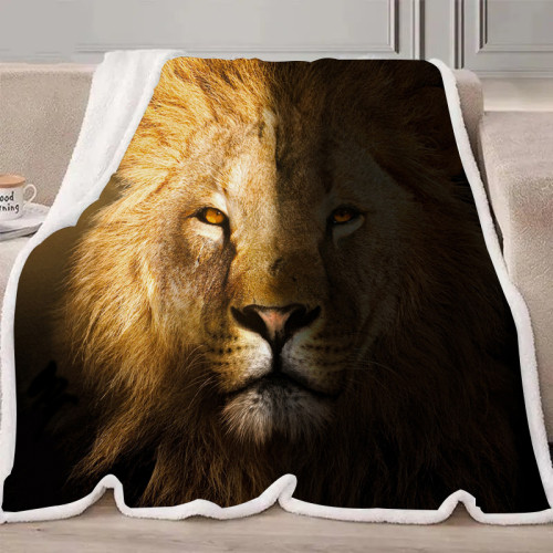 Yin Yang Lion Blanket