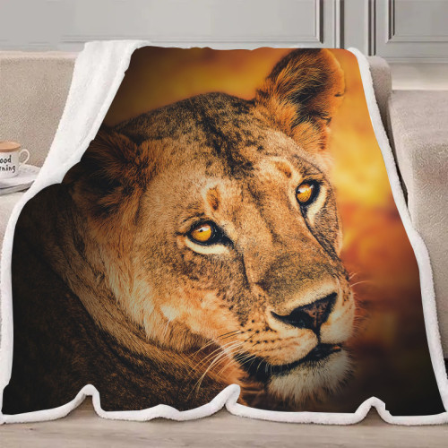 Lioness Blanket