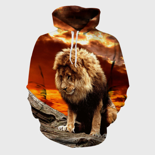 Sunset Lion Hoodie