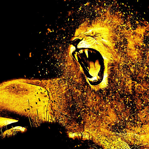 Gold Lion Painting Art