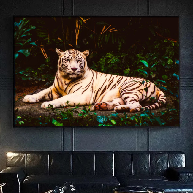 White Tiger Painting Art