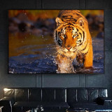 Wild Tiger Painting Art