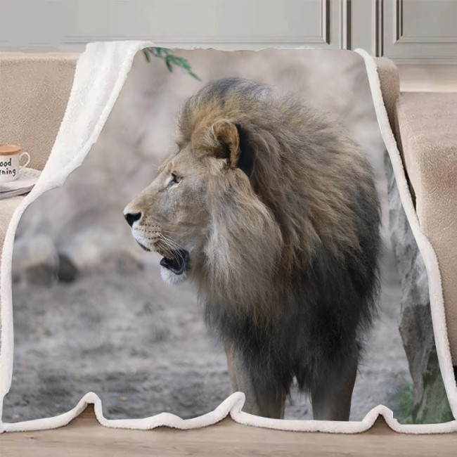 Lion Blanket