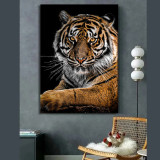 Cool Tiger Painting Art