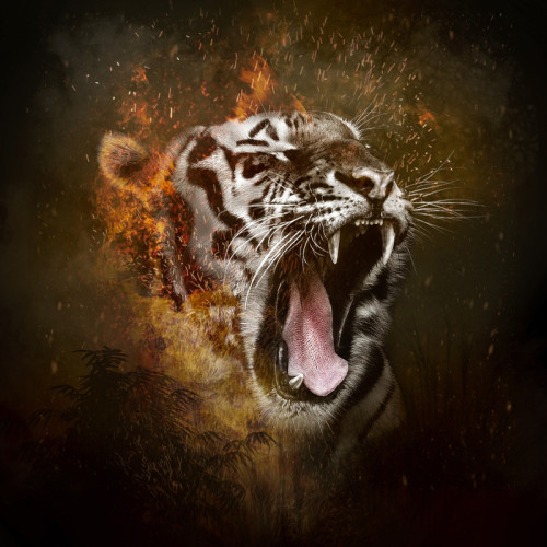 Roaring Tiger Painting Art