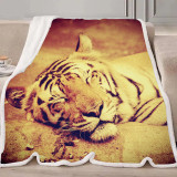 Sleeping Tiger Blanket