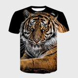 Cool Tiger T-Shirt