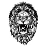 Lion Tattoo Head